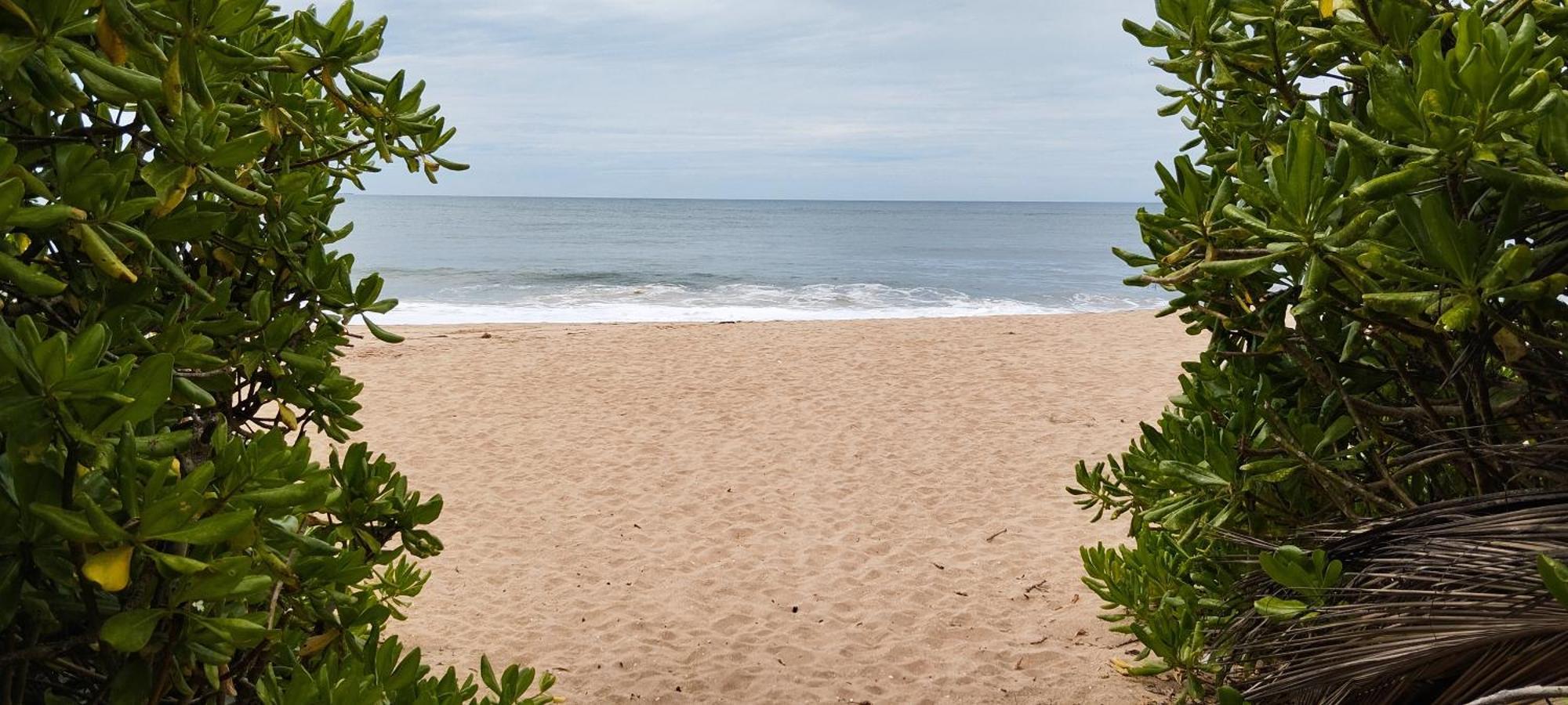 Bed and Breakfast Eco Nest Marakolliya Tangalle Esterno foto
