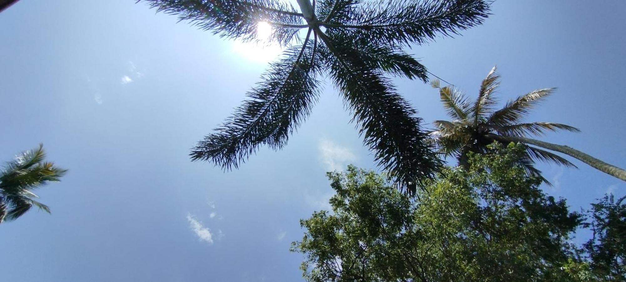 Bed and Breakfast Eco Nest Marakolliya Tangalle Esterno foto